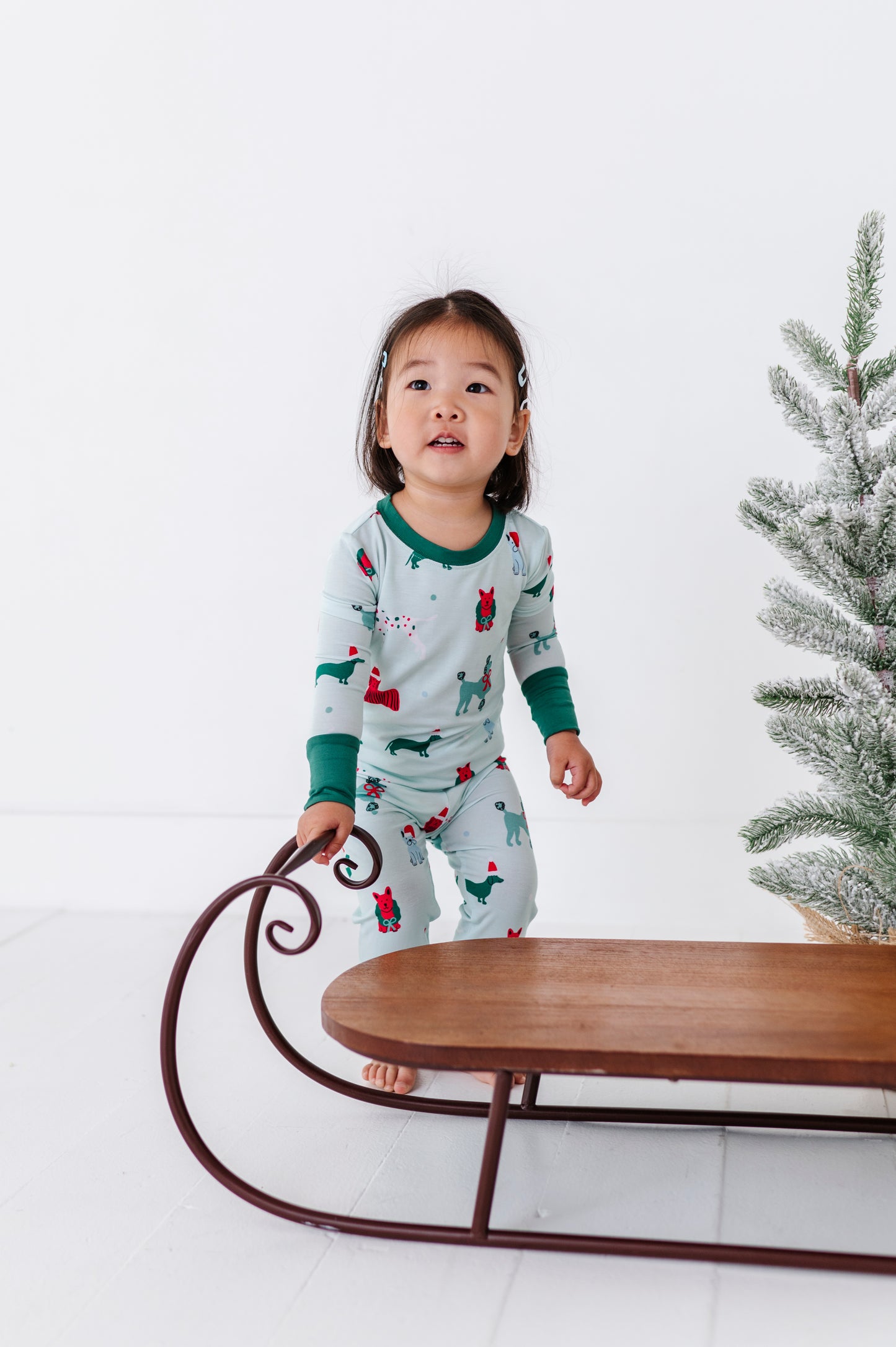 Christmas Dog Kids Pajamas