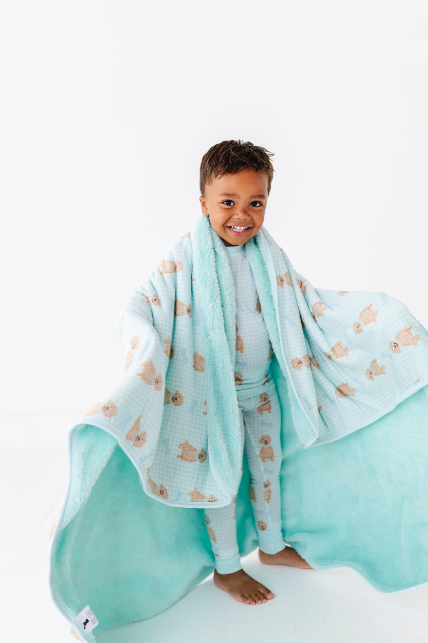 Dreaming of Doodles Plush Blanket