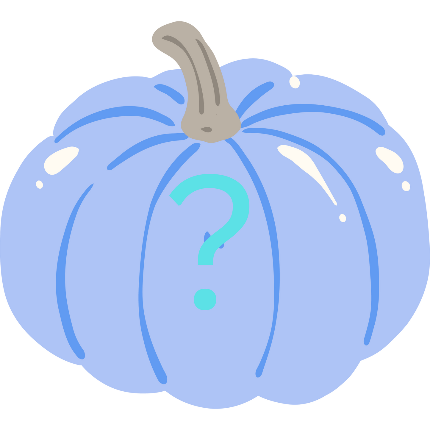 Fall Mystery Item - BOY